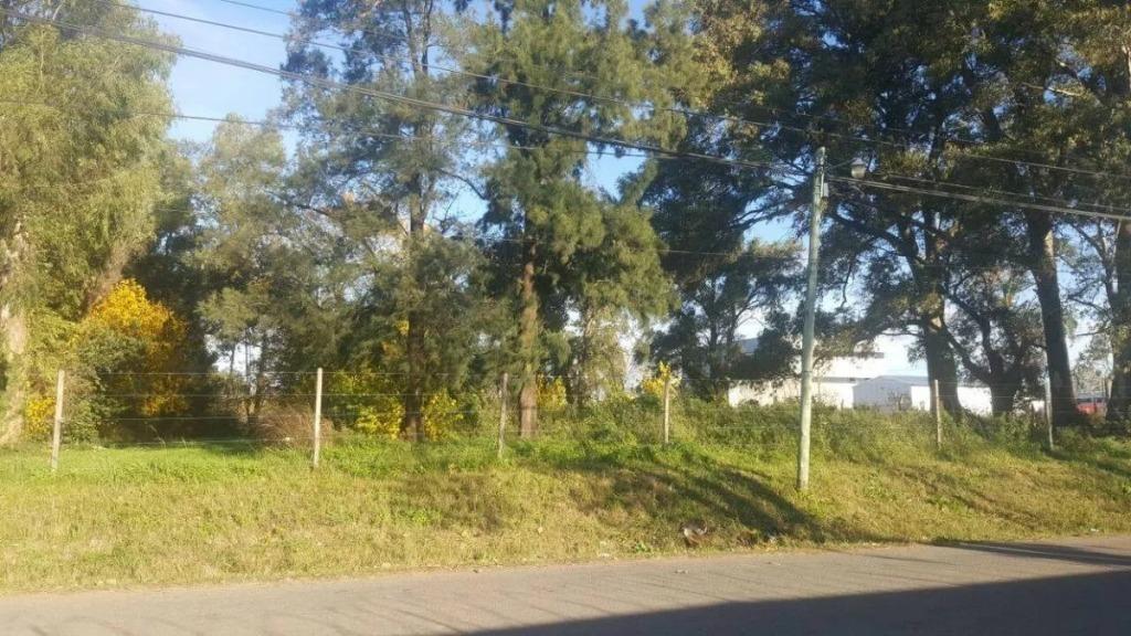 Terreno Arbolado zona Comercial Y Residencial