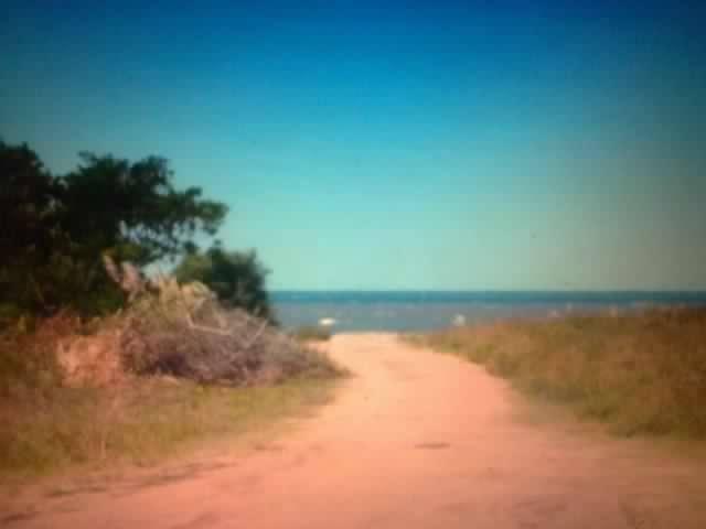VENDO LOTES EN PUNTA DEL ESTE