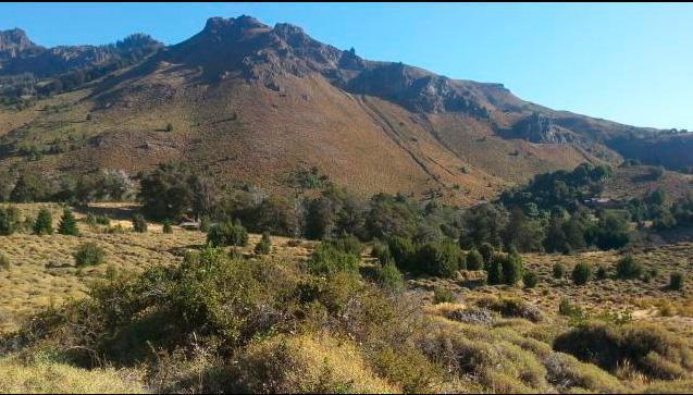 SE VENDEN 3 HA. EN Bº ALTOS DEL CHAPELCO. SAN M. DE LOS ANDES