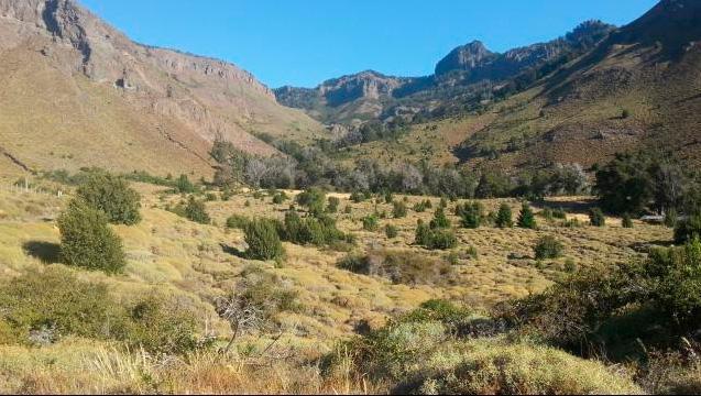 SE VENDEN 3 HA. EN Bº ALTOS DEL CHAPELCO. SAN M. DE LOS ANDES