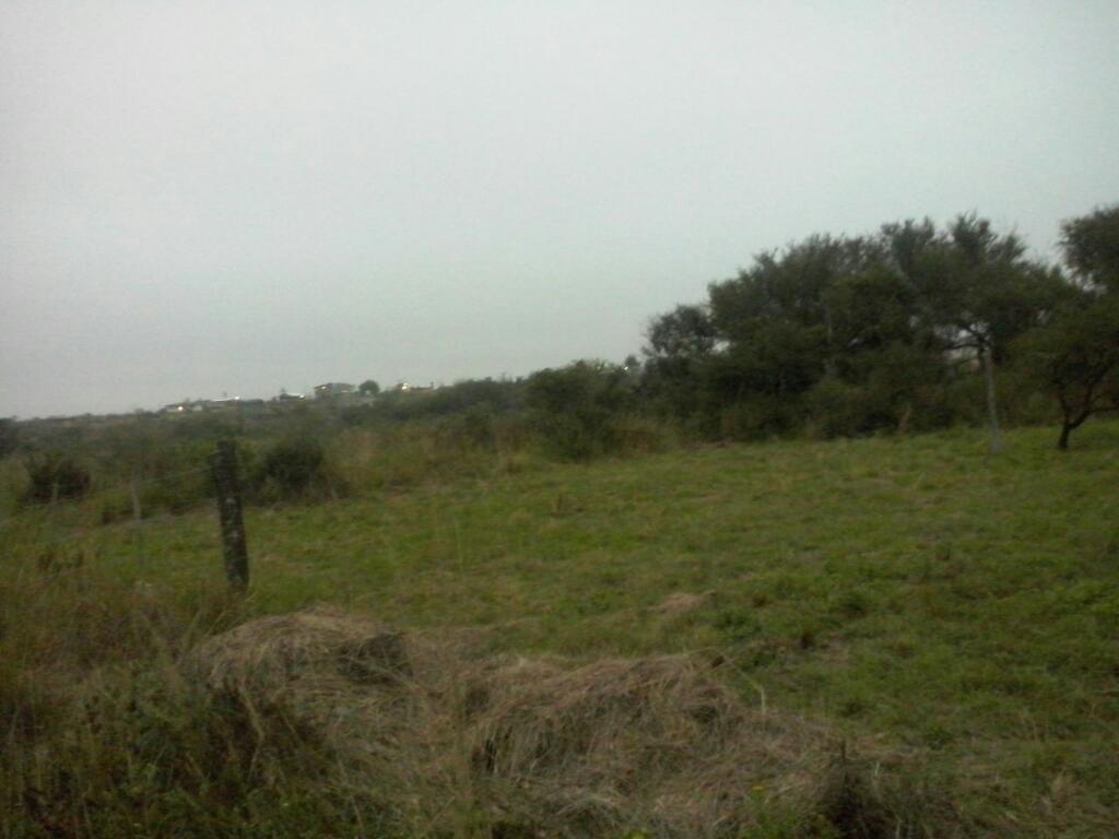 Líquido lote de 800mt a $50000!!!bialet MÁS SE!!