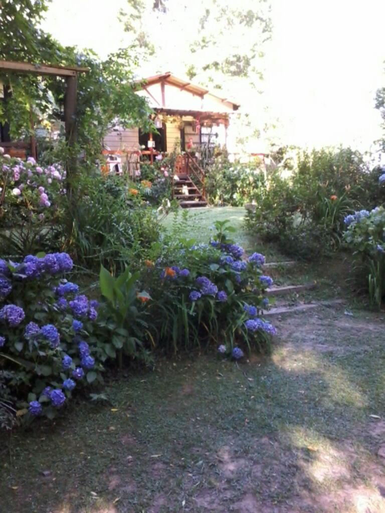 Cabaña NAYLA en el Delta ,isla de