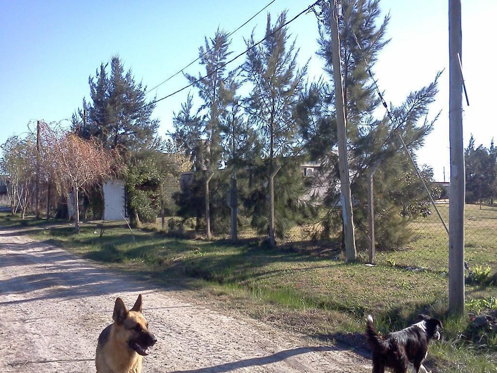 Villa Castells , 8 prox a 492 , gran crecimiento , ultimo lote disponible 12x30 Escritura inmediata