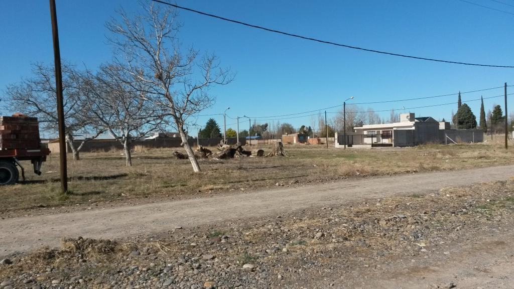 LOTE EN PLOTTIER, DE 300 mts2 , barrio LA CASONA