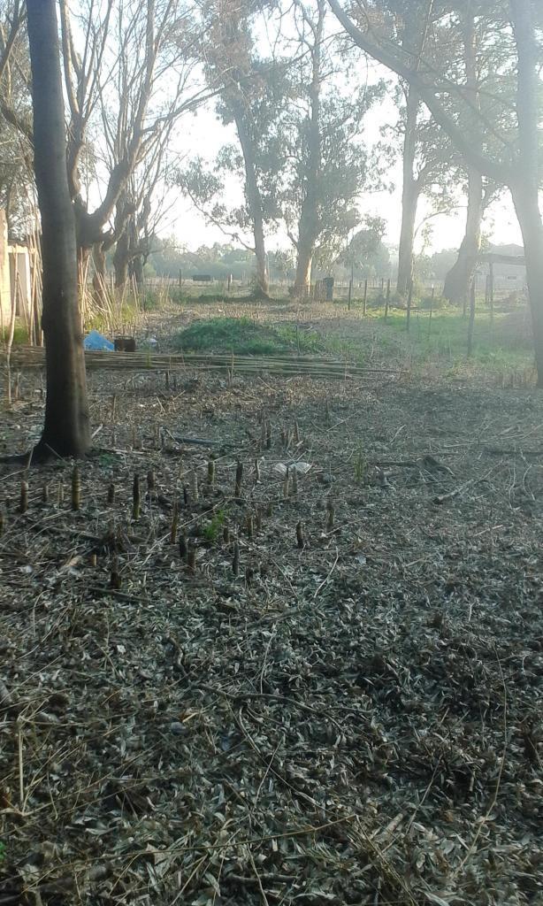 Vendo terreno en Domselaar part.  muy buena ubicacion