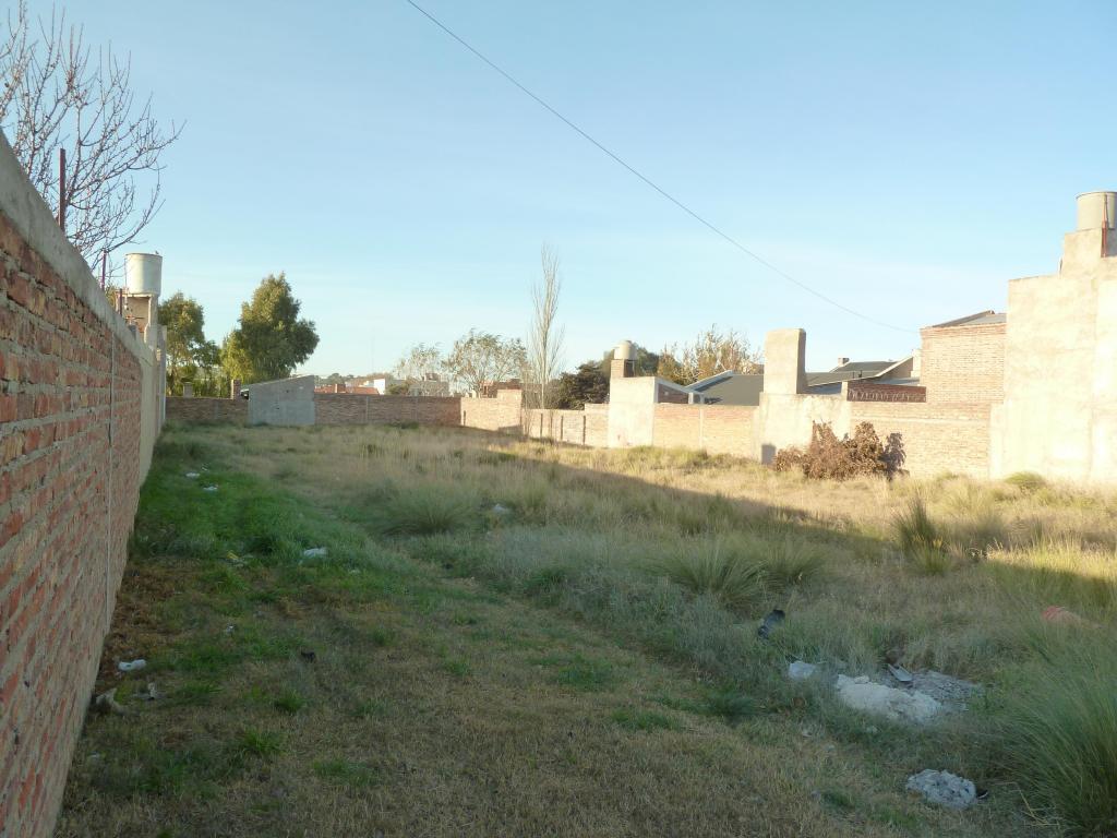 Lote en venta en calle cipoletti 850