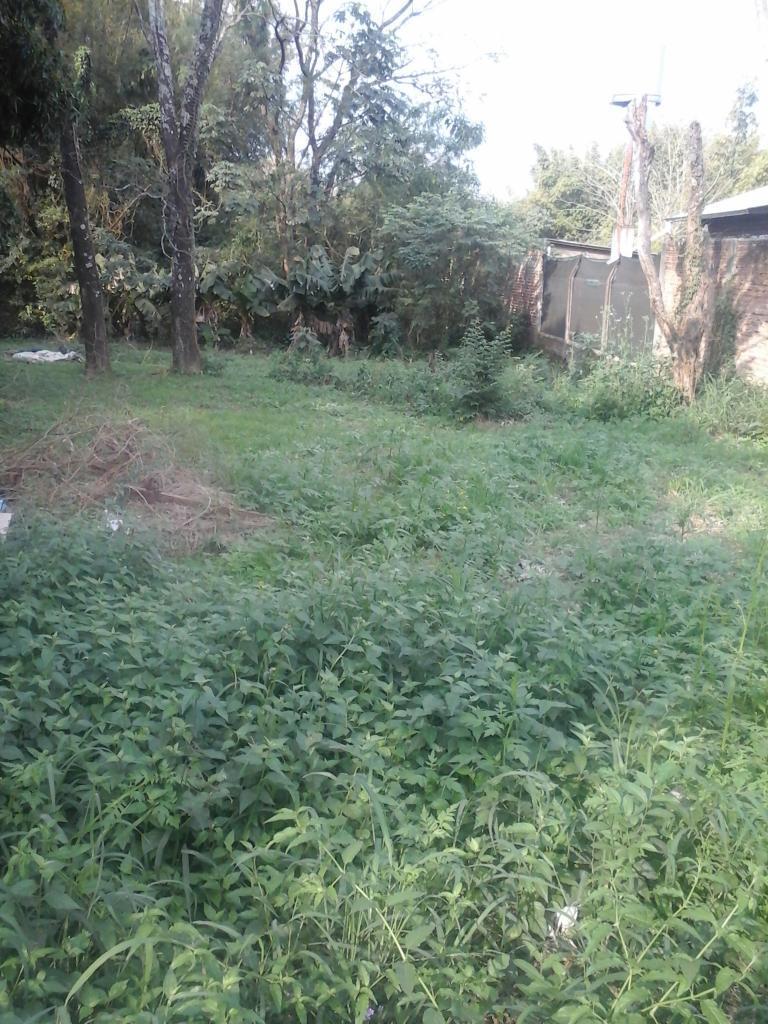 Vendo Lotes Zona Barrio Santa Rita