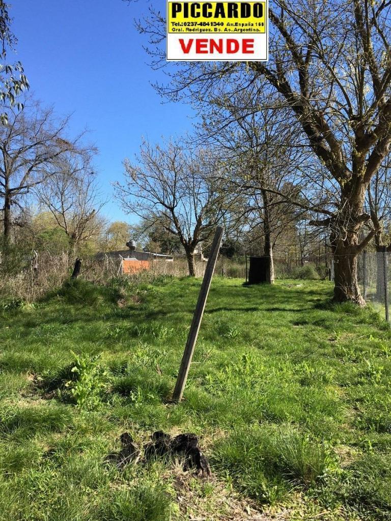Lote terreno en venta B Cinco Esquinas Gral. Rodríguez Piccardo