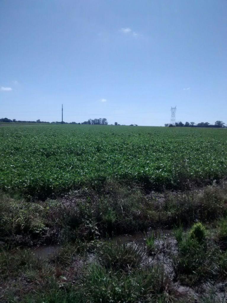 TERRENO/CAMPO ARROYO SECO