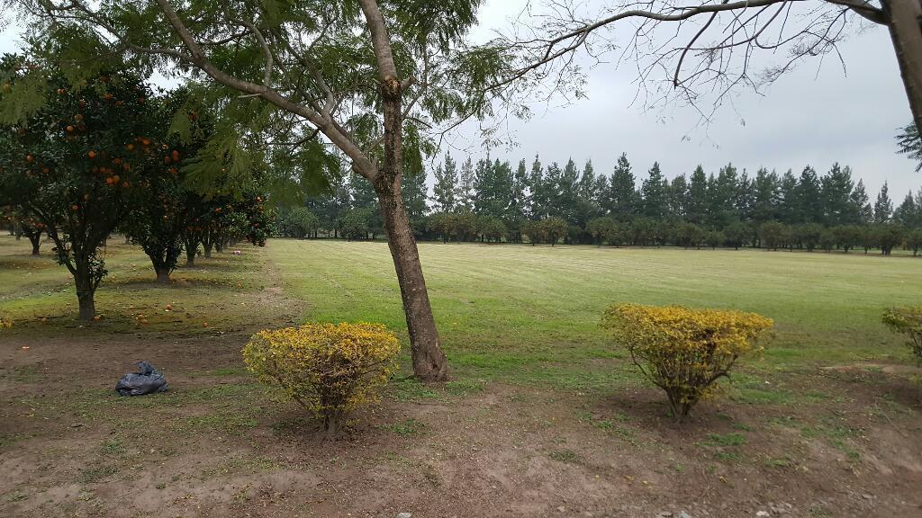 a terreno Club de Campo de las Moritas 5000m2