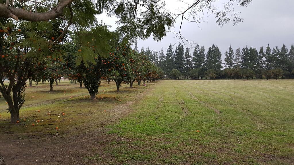 a terreno Club de Campo de las Moritas 5000m2