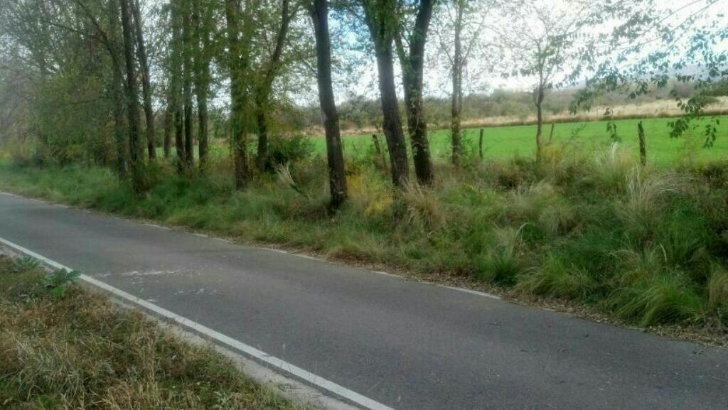 Terreno Estancia Grande  Detrás Del Club de Polo