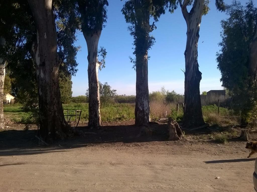 TERRENO EN BAHIA BLANCA