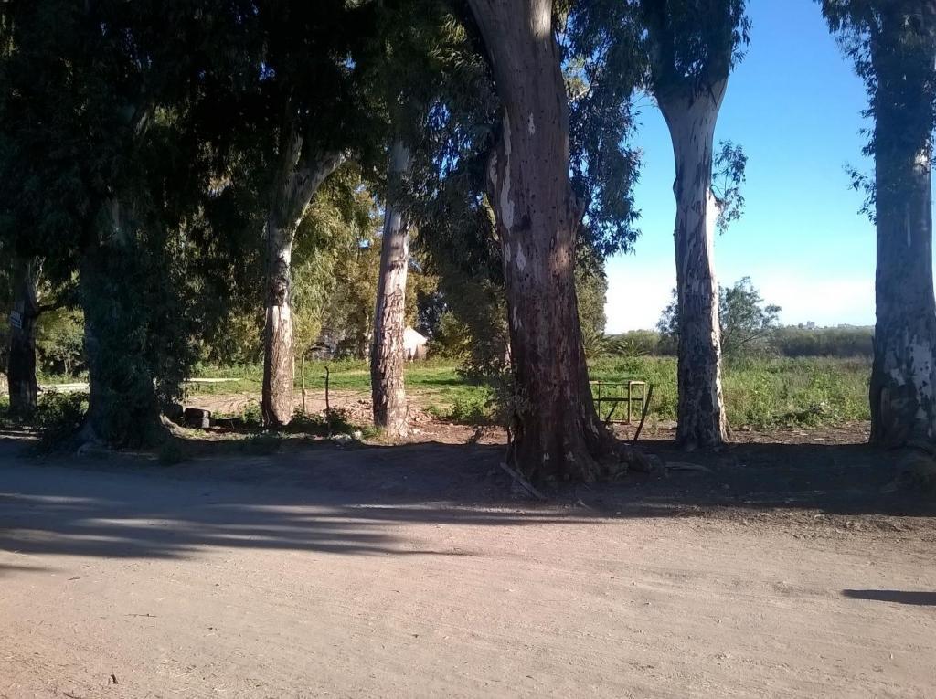 TERRENO EN BAHIA BLANCA