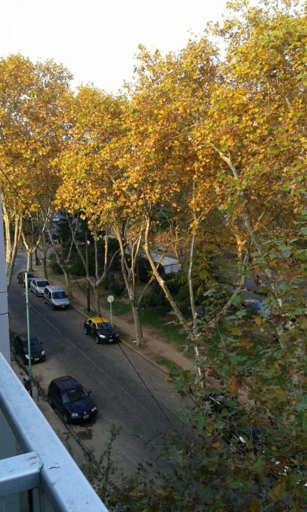 3 ambientes a estrenar con cochera, parrilla