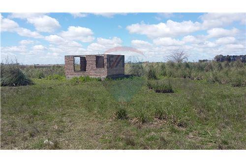 Campo de 5,2 hectáreas en Virrey del Pino