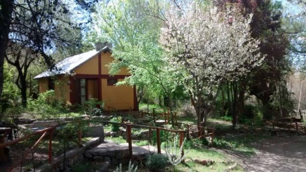 Cabanas con Mucha Naturaleza Y Cordillera 199593