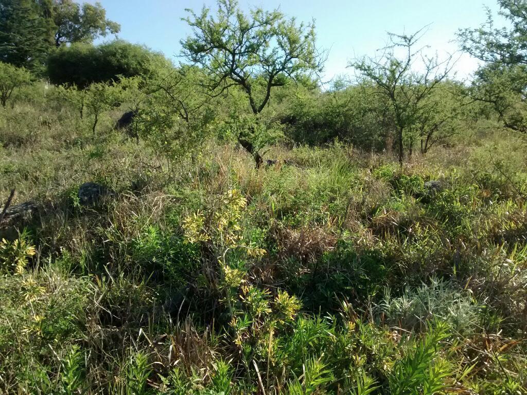 Lotes en Salsipuedes