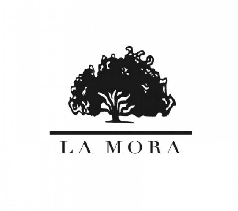 Alquiler Departamento en LA MORA