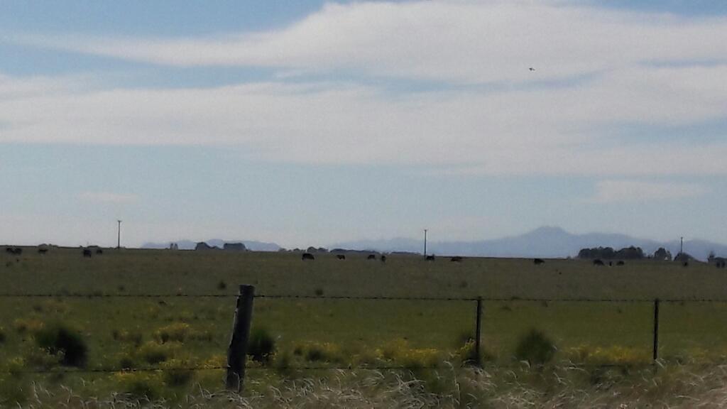 Campo 52 hectareas en bajo hondo a solo 10 minutos d bahia blanca