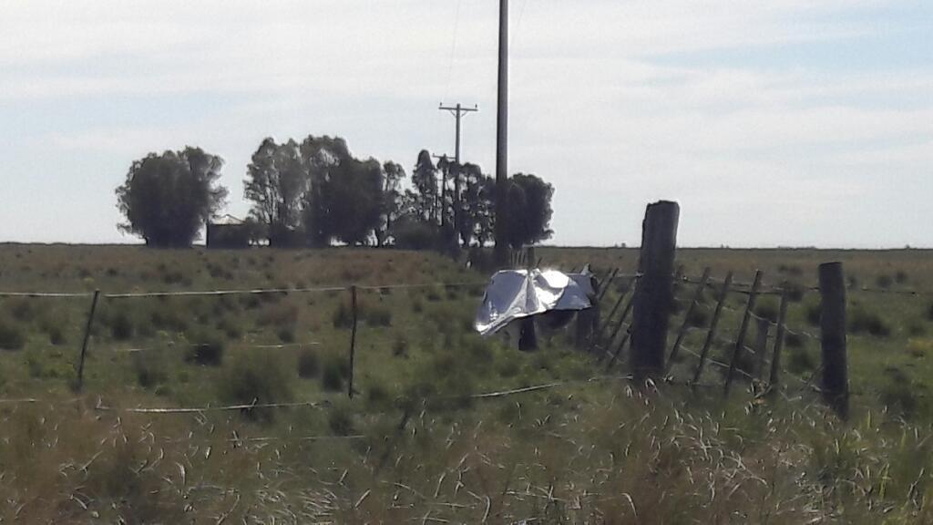 Campo 52 hectareas en bajo hondo a solo 10 minutos d bahia blanca