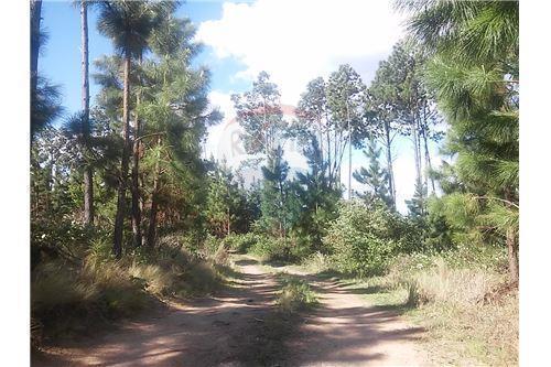 Venta campo Intiyaco camino a Cumbrecita