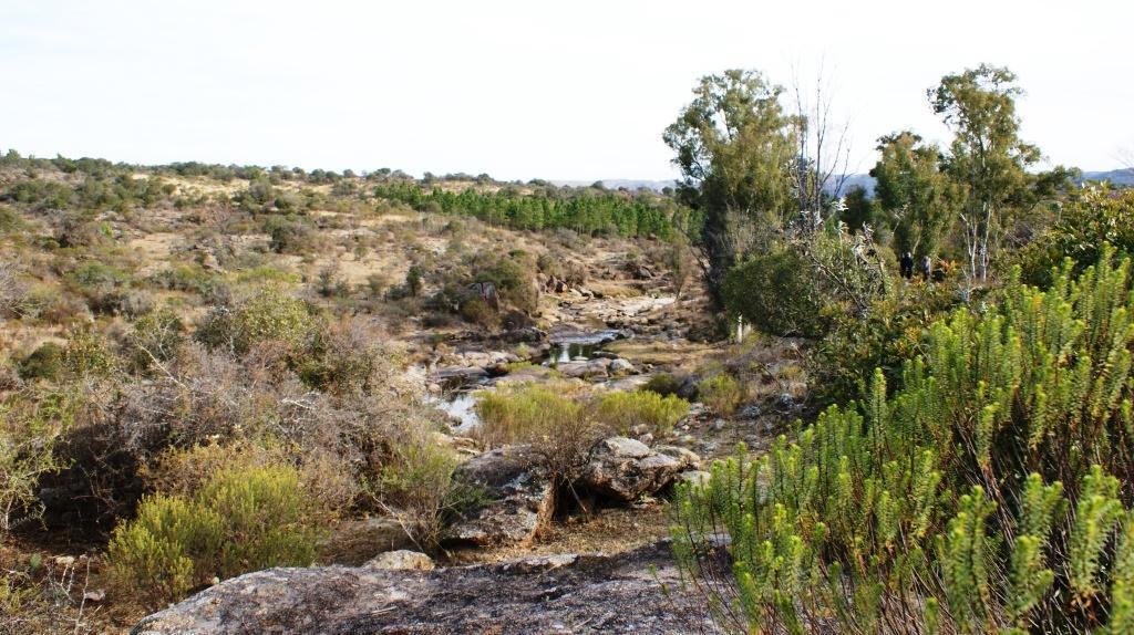 Hermoso terreno en esquina/ a mts del arroyo, Flor Serrana