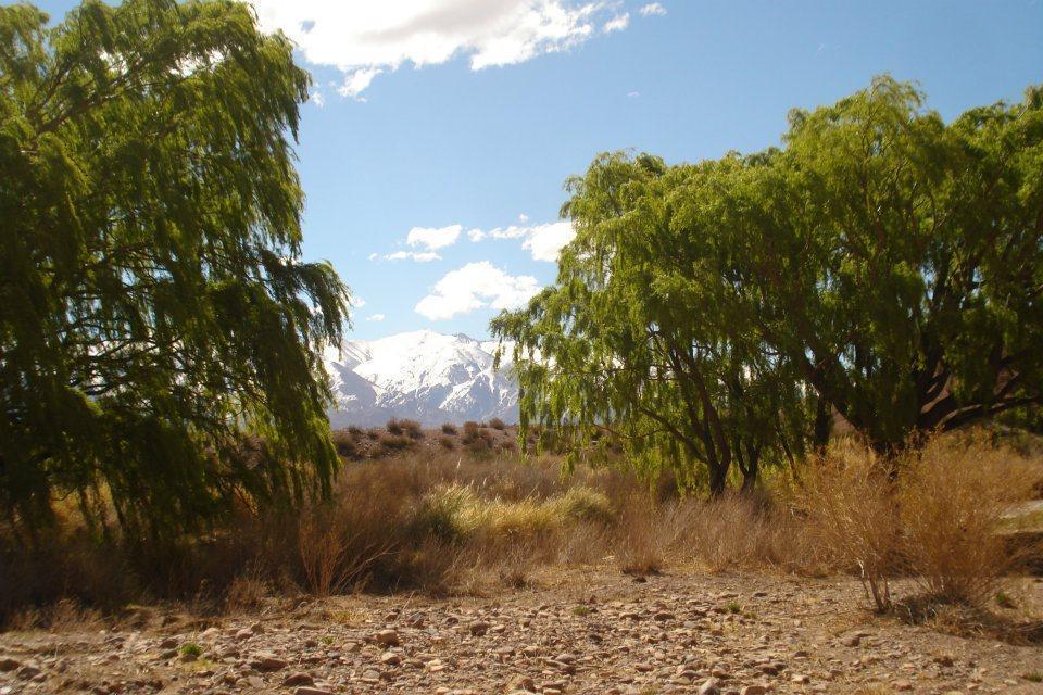 VENDO TERRENO EN USPALLATA CON ARROYO