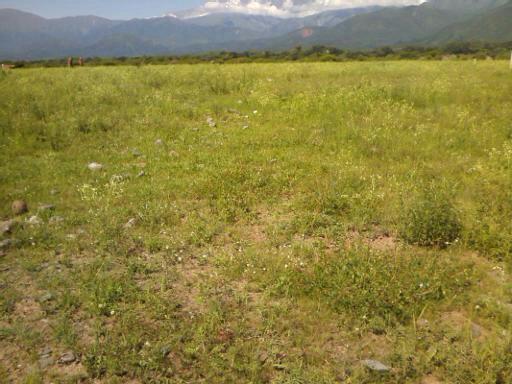 terreno en Campo Quijano, zona de Valle Encantado