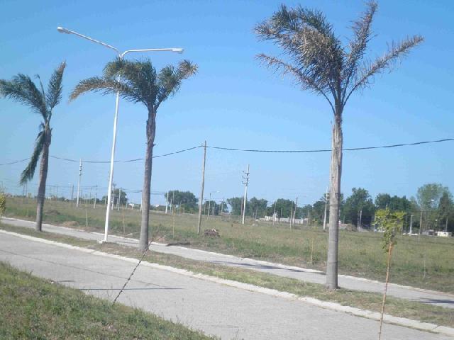 vendo terrenos en LAS ACEQUIAS ESCRITURADO UNICO BARRIO CON GAS