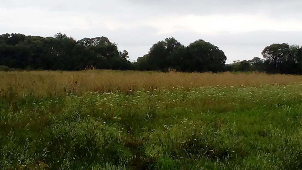 Vendo 29 Hectáreas de Campo Cinturón Verde con Riego . Villa Esquiu Y Col Tirolesa