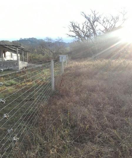 VAQUEROS VERTIENTES LOTE 1.300 m2 con 30 plantas frutales y cerco perimetral