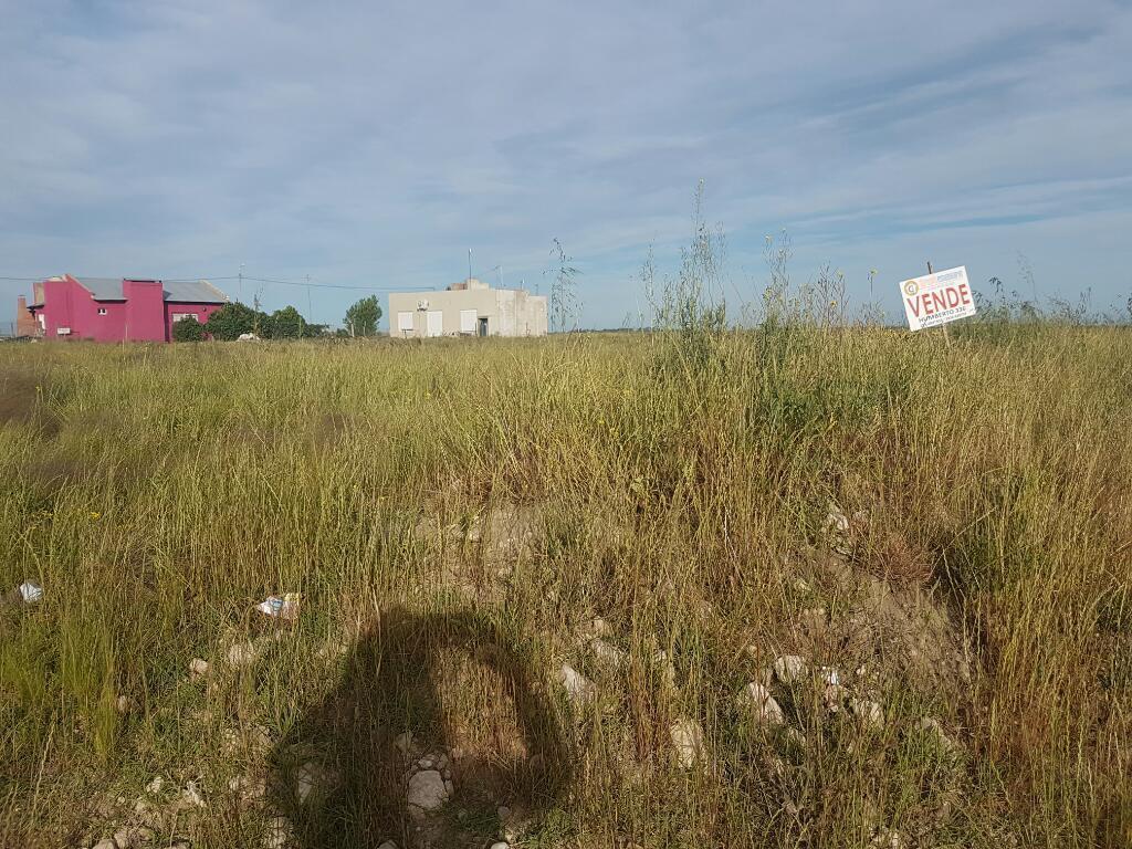 Vendolote en Bahia Blanca