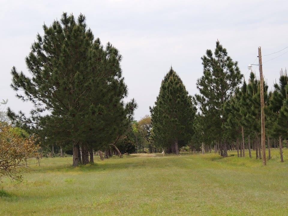 TERRENOS EN PASO DE LA PATRIA