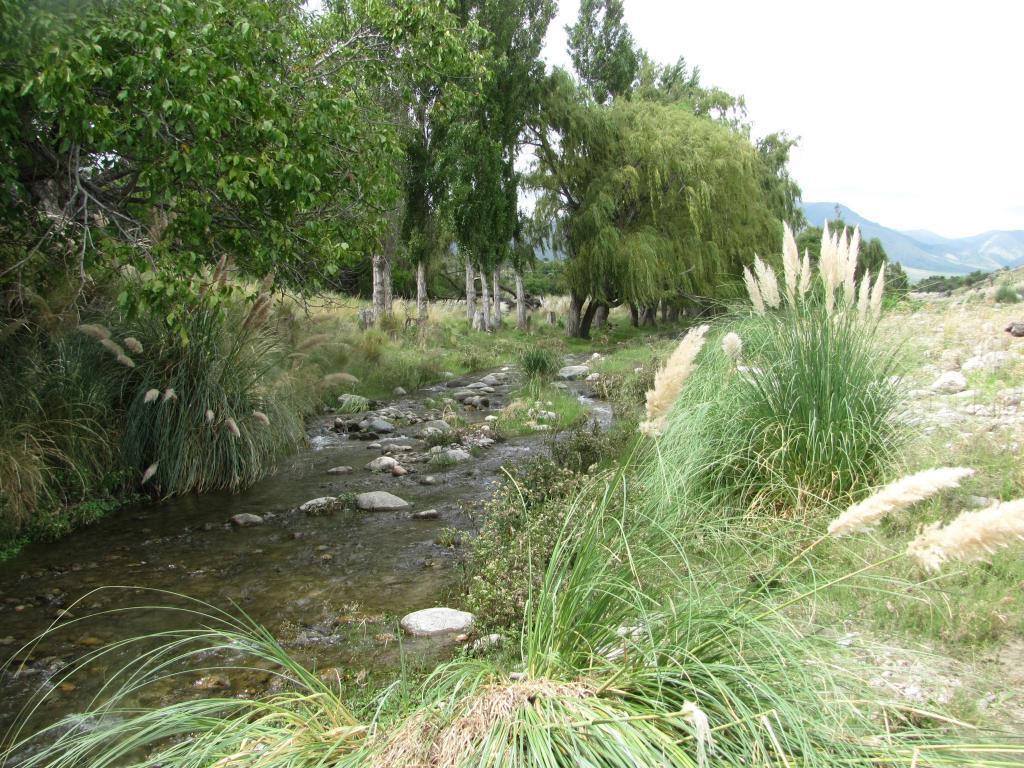 vendo campo de sierra