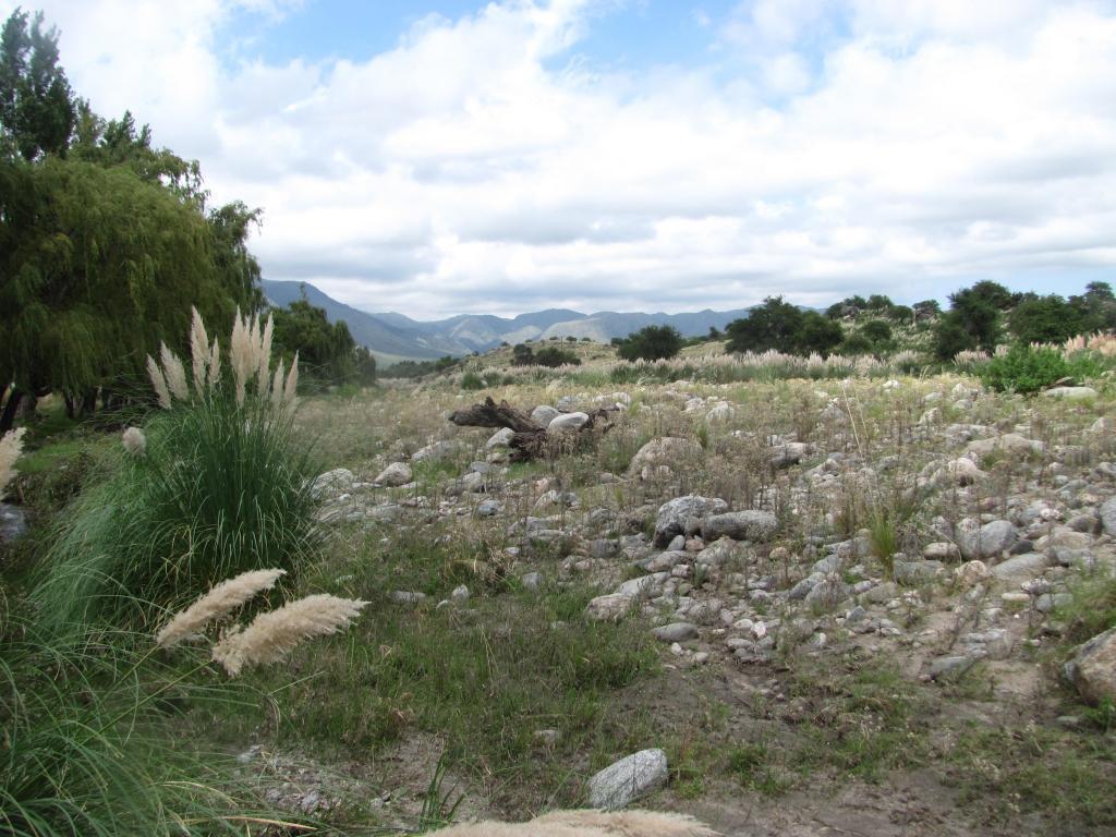 vendo campo de sierra