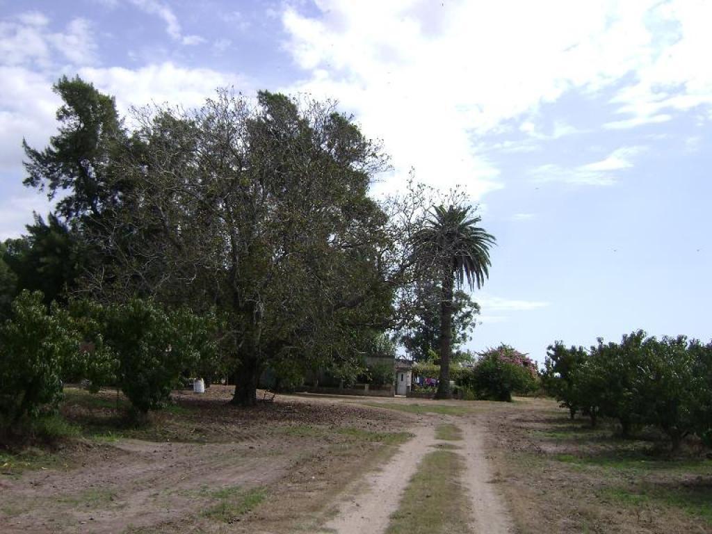 U$D 190.000 Campo en Venta Rural S/N