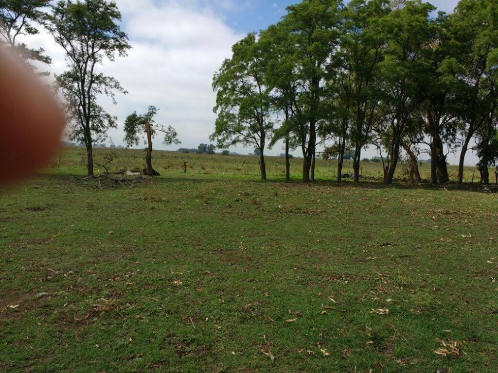 CAMPO EN VENTA! ZONA !