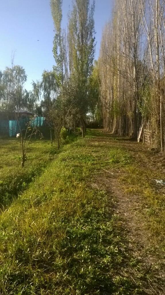 Financiacion sin Interes, Lote 480 Mts, Carril Nacional Viejo San Roque Maipu