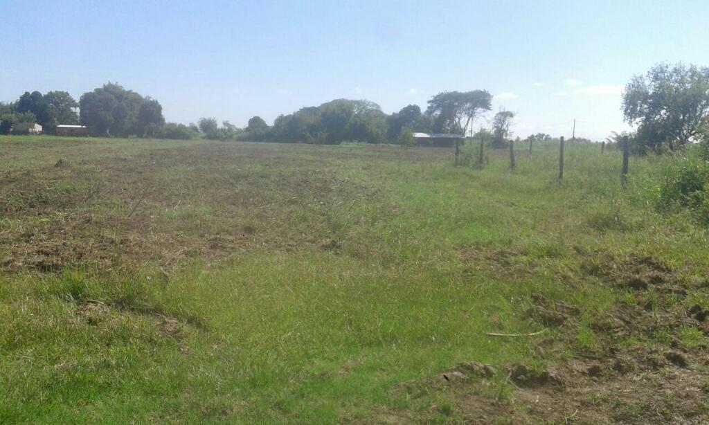 Vendo Terrenos en Loteo , Agua Y Luz Amp