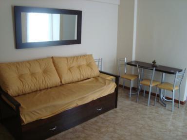 DEPARTAMENTO 2 AMBIENTES LATERAL PASEO ALDREY