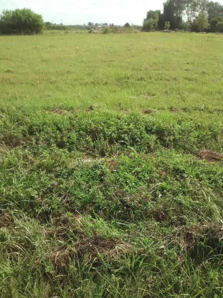 Terreno 660 m2, 20 metros de Frente a una cuadra ruta