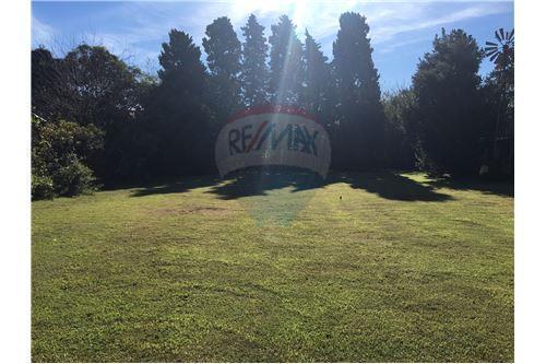 Terreno en el centro de la localidad de Alvear