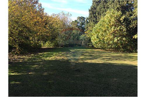 Terreno en el centro de la localidad de Alvear