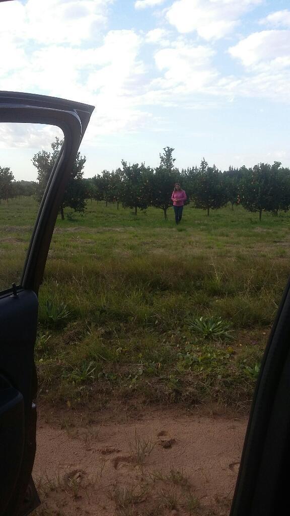 Vendo Lotes en Acantilados