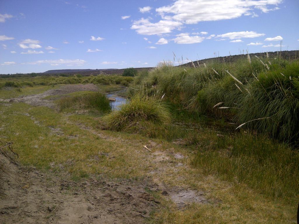 Vendo o permuto Campo en la Meseta de Somuncura Rio Negro Argentina