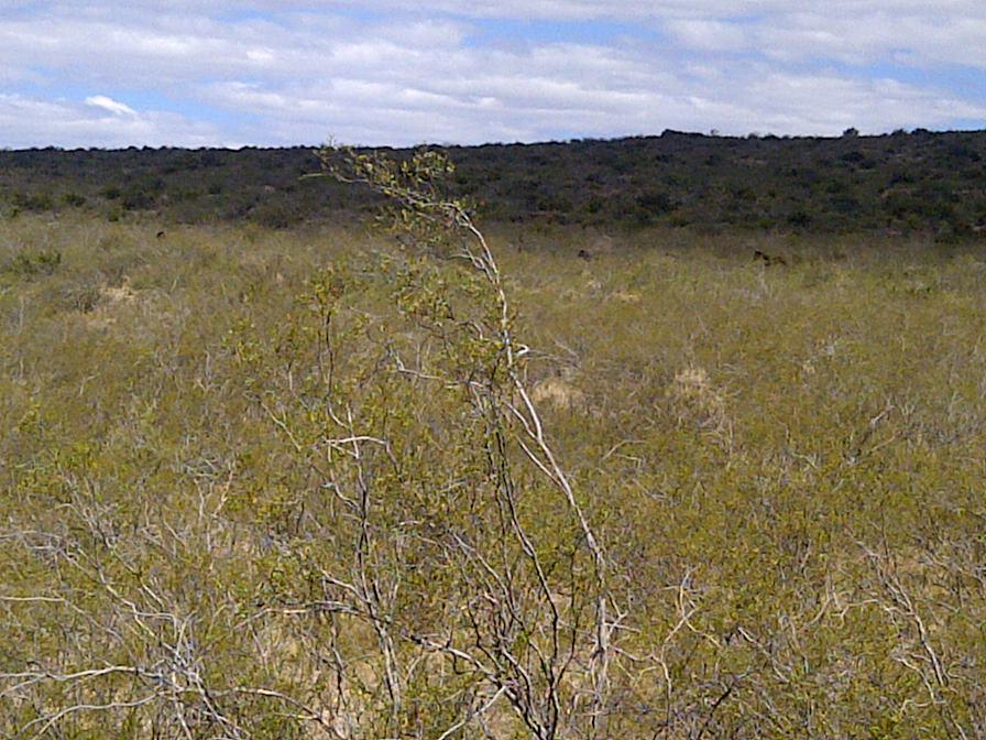 Vendo o permuto Campo en la Meseta de Somuncura Rio Negro Argentina