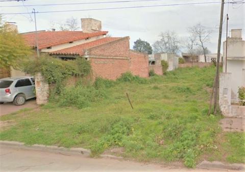 LOTE BELGRANO 700