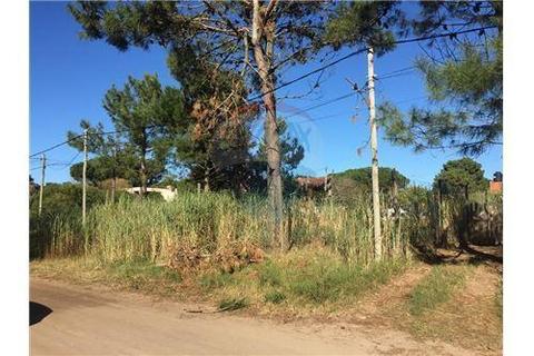 Lote industrial y comercial en