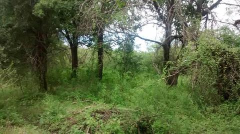 Terreno ubicado en localidad de  Boca del río